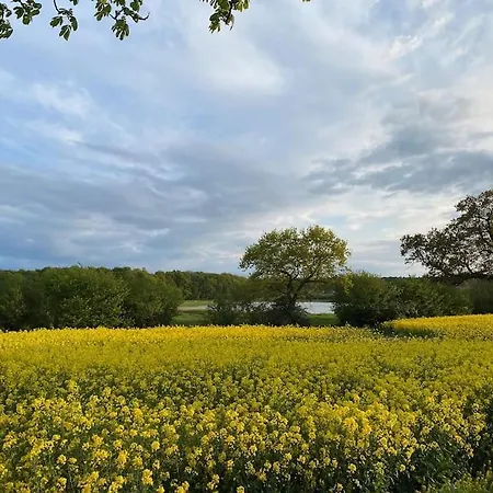 Marstall Gut Gueldenstein Ganzes Haus 13 Pers Kamin Prázdninový dům Harmsdorf